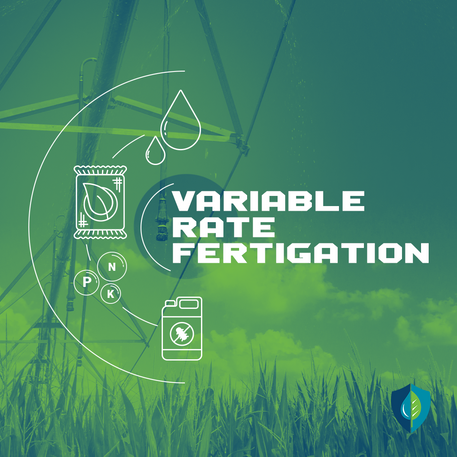 Data-Driven Decisions: The Power of Variable Rate Fertigation
