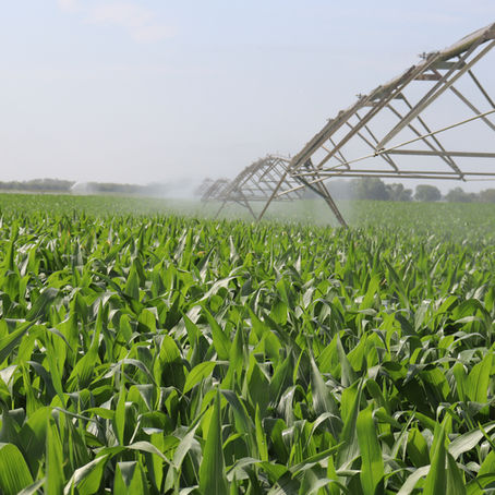 How Fertigation Improves Sustainability Practices, the Environment, and Your Operation’s Future