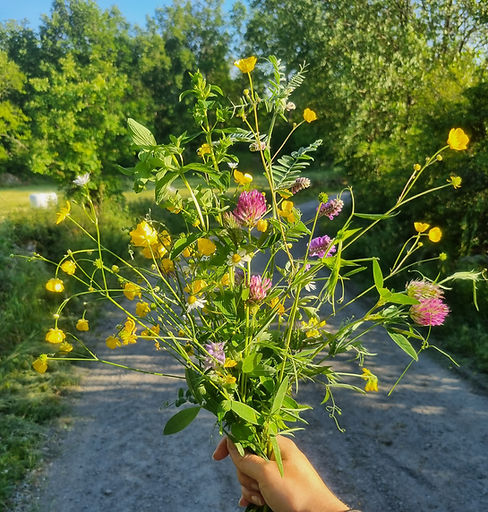 20220618_191546.jpg