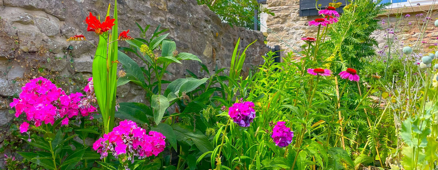 Colourful cottage garden at The Wellspring Ledbury with pink and red flowers beside a stone wall and rustic window
