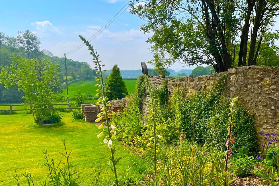 Terrace garden at The Wellspring Ledbury with foxgloves, lawn and countryside views.
