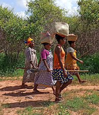 Ankilahila-JAN-2021-800-Madagascar.jpg