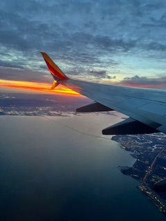 Quixotically Quirky Quests: The Joy of Embracing an Unpredictable Path 