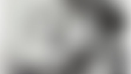 Rembrandt e a Holanda do século XVII