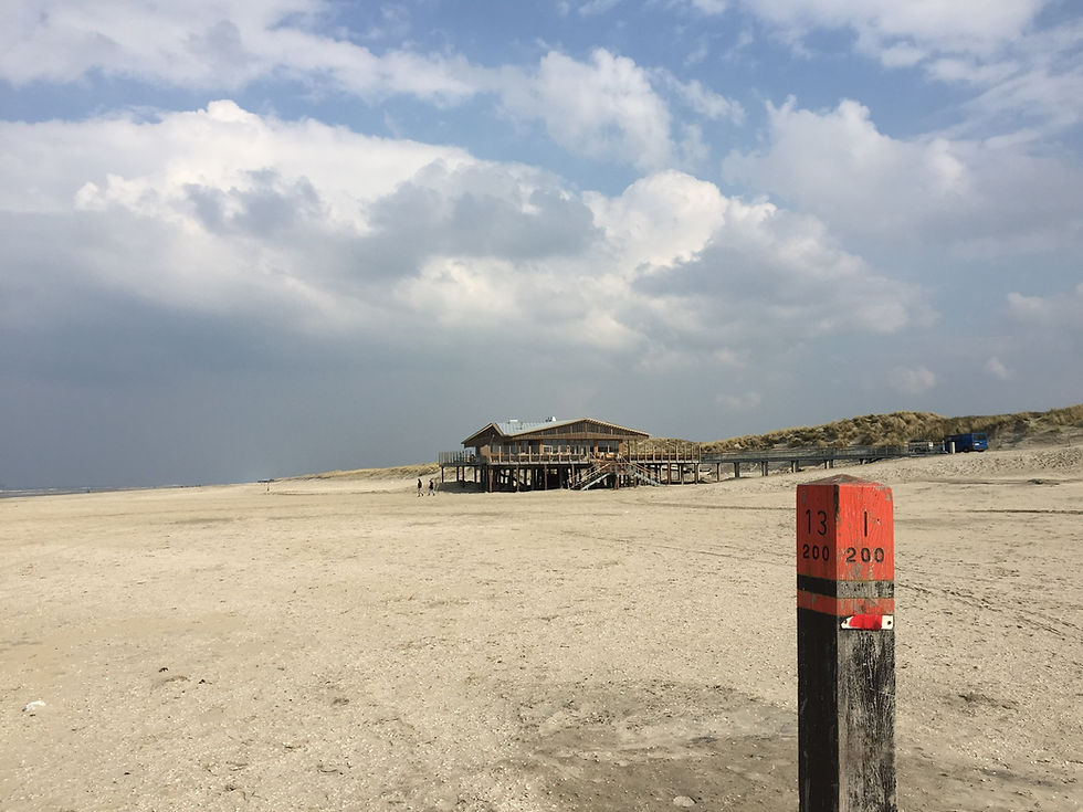 deringmus_ameland (1).jpeg