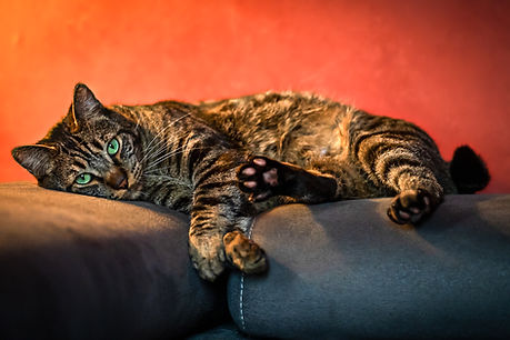 Bernie (10).jpg