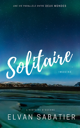 Couverture de Solitaire