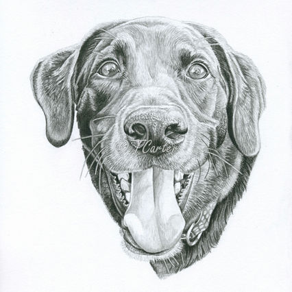 Say hello to Gramps!