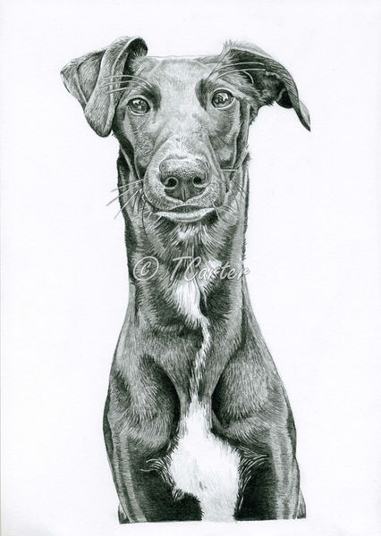 I just love drawing my boy!