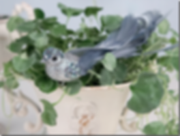 blue-bird-silver.png