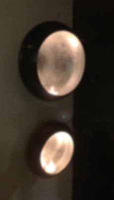 IMG_2954.jpeg
