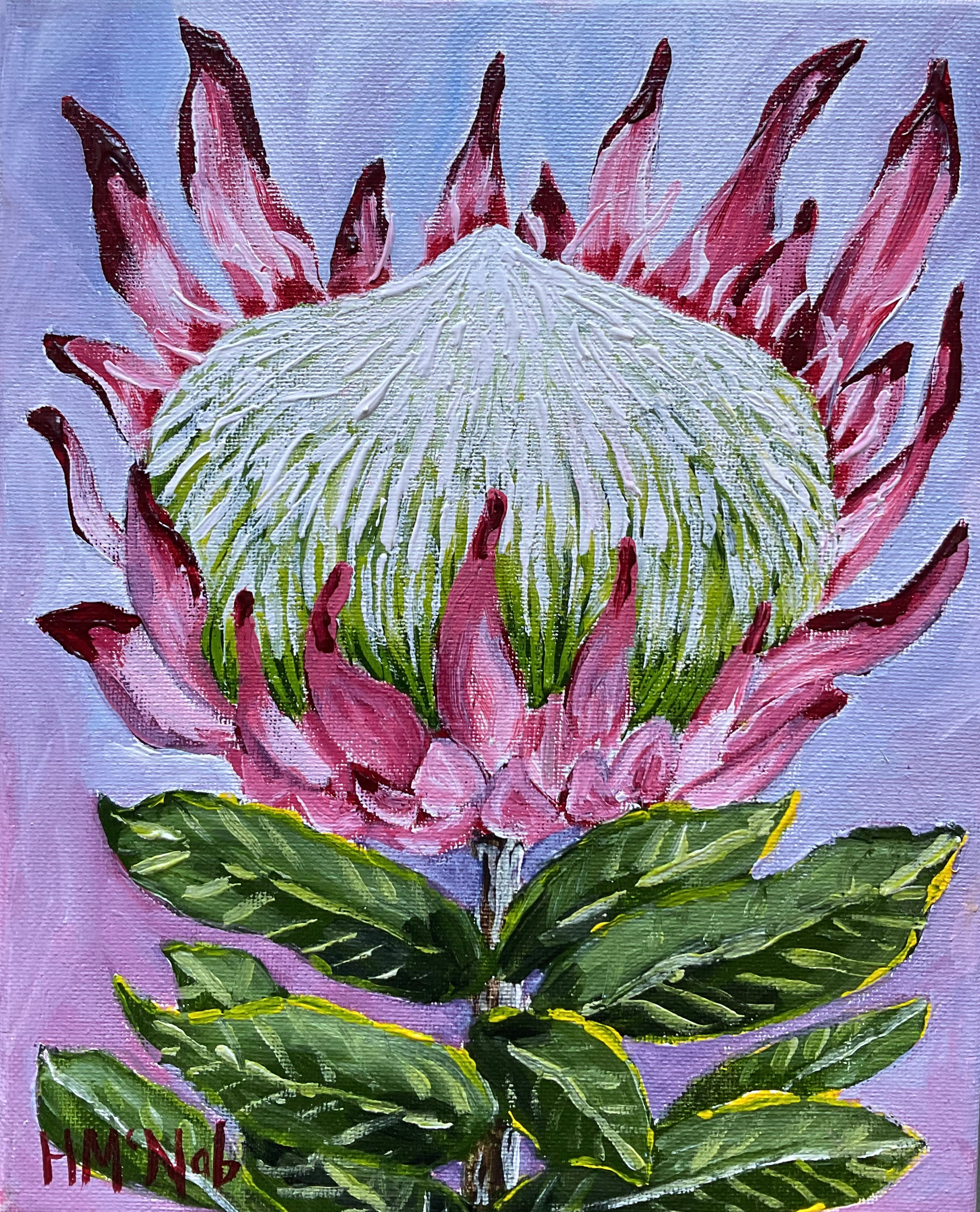 King Protea - Realism Artwork