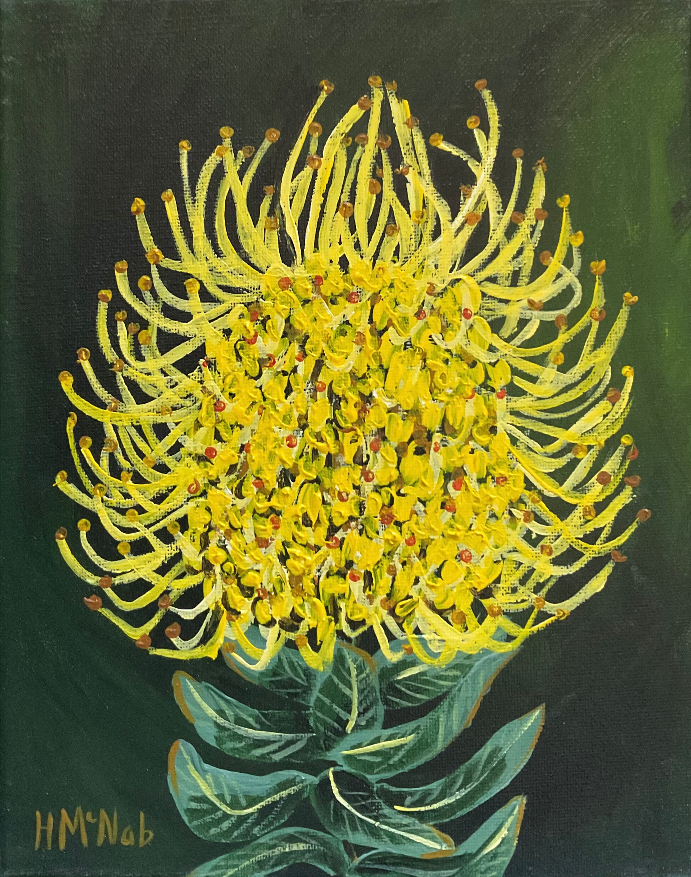 African Protea - Realism Artwork