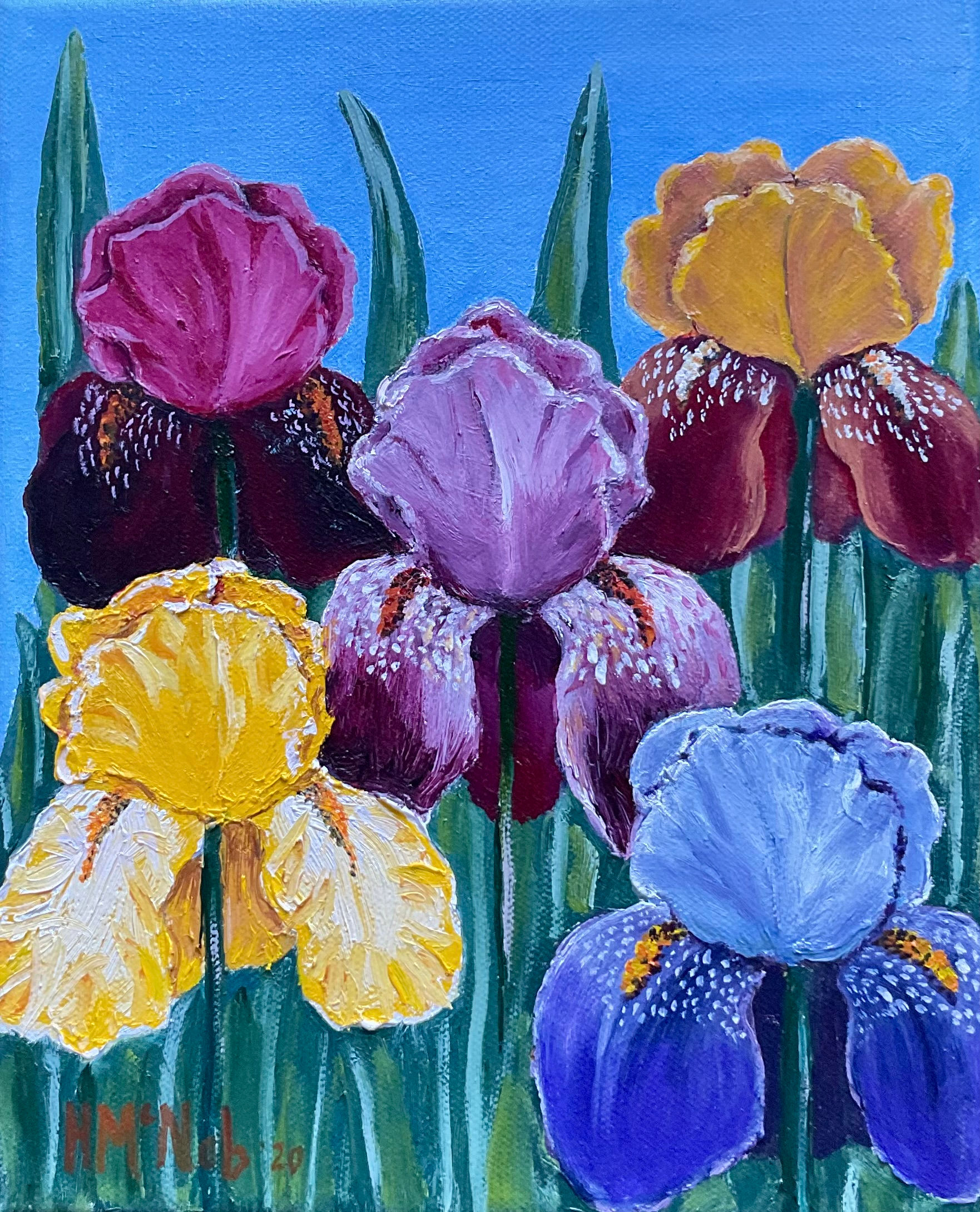 Realism Artwork - Bearded Iris print