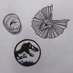 56470392_427831044454144_404602484542563