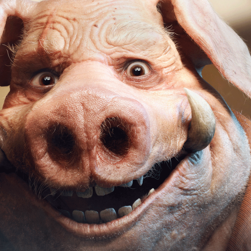pig.gif