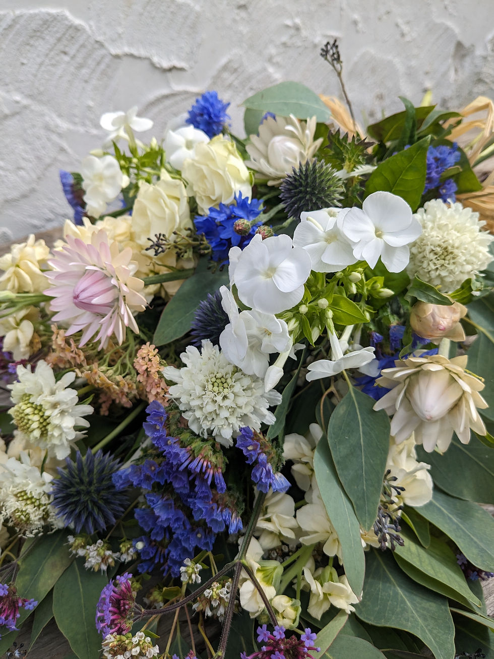 Thumbnail: British Grown Flowers Close Up