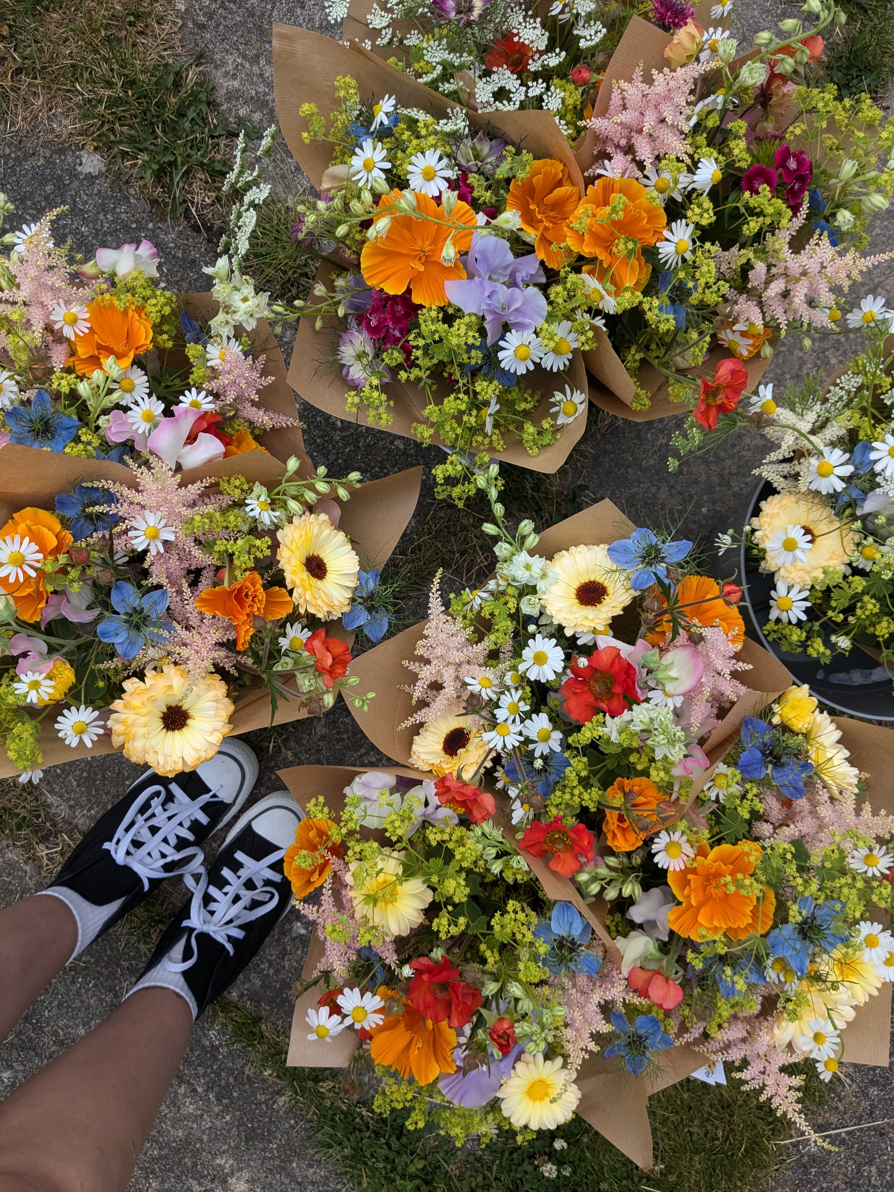 A Month of Flowers