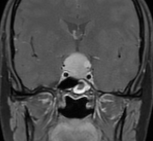 Ekran Resmi 2026-04-06 18.18.50.png