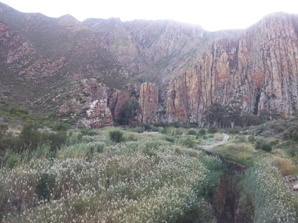 2013-06-23 15.45.57.jpg
