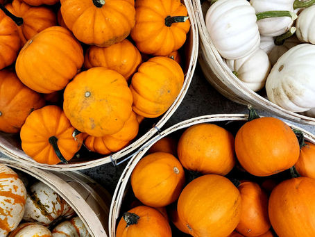 Fall Into Autumn, Sunday, September 24th