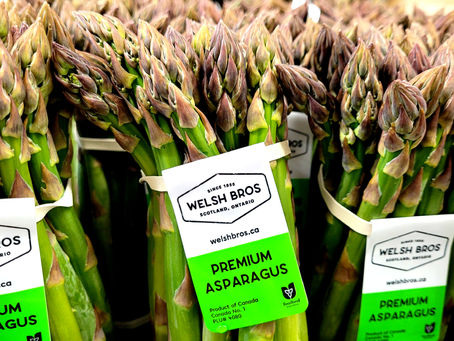 Yummy In My Tummy ! Fresh Ontario Asparagus