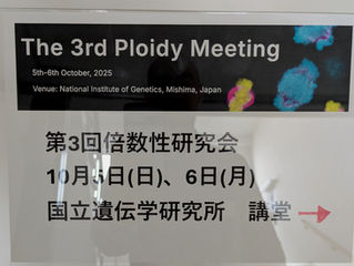 The 3rd Ploidy Meeting @ National Institute of Genetics / 第3回倍数性研究会@遺伝研