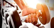 The Gym is My Teacher
