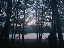 sunset by a loch, dark tree silhouettes.