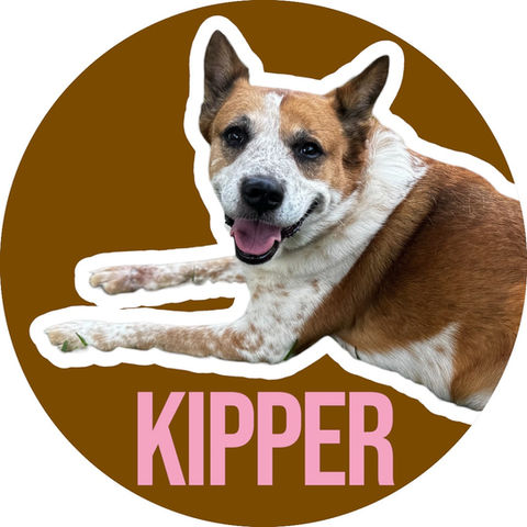 Kipper
