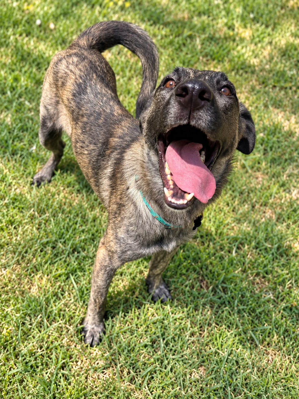 That proud grin and wiggly body