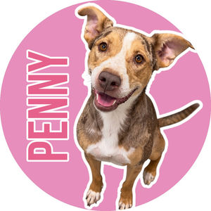 Penny