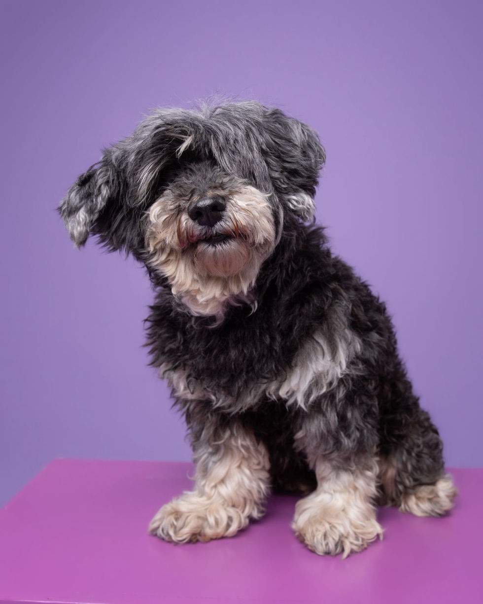 My glamour photo