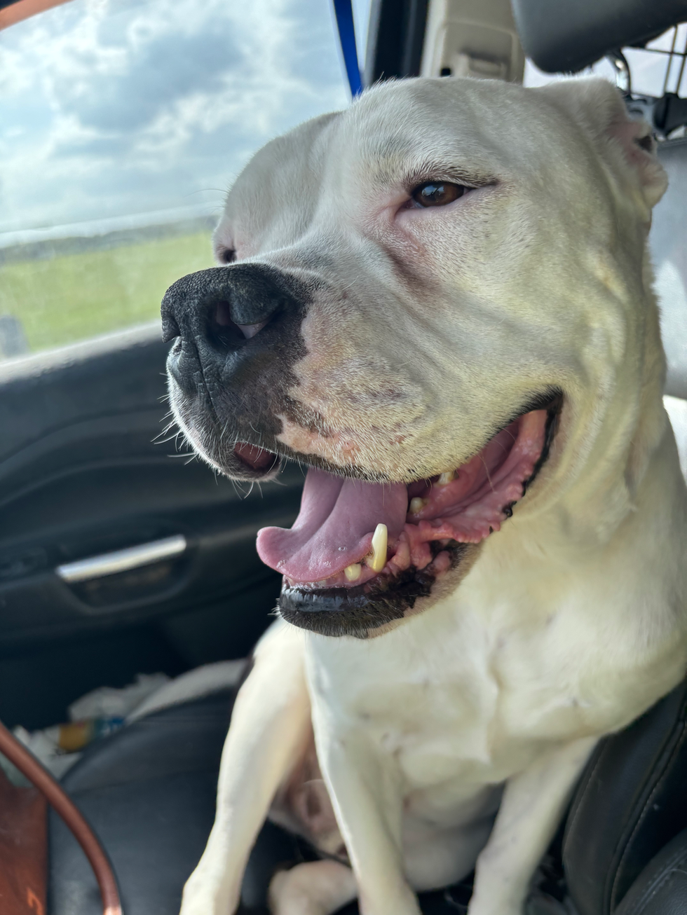 Omar loves car rides