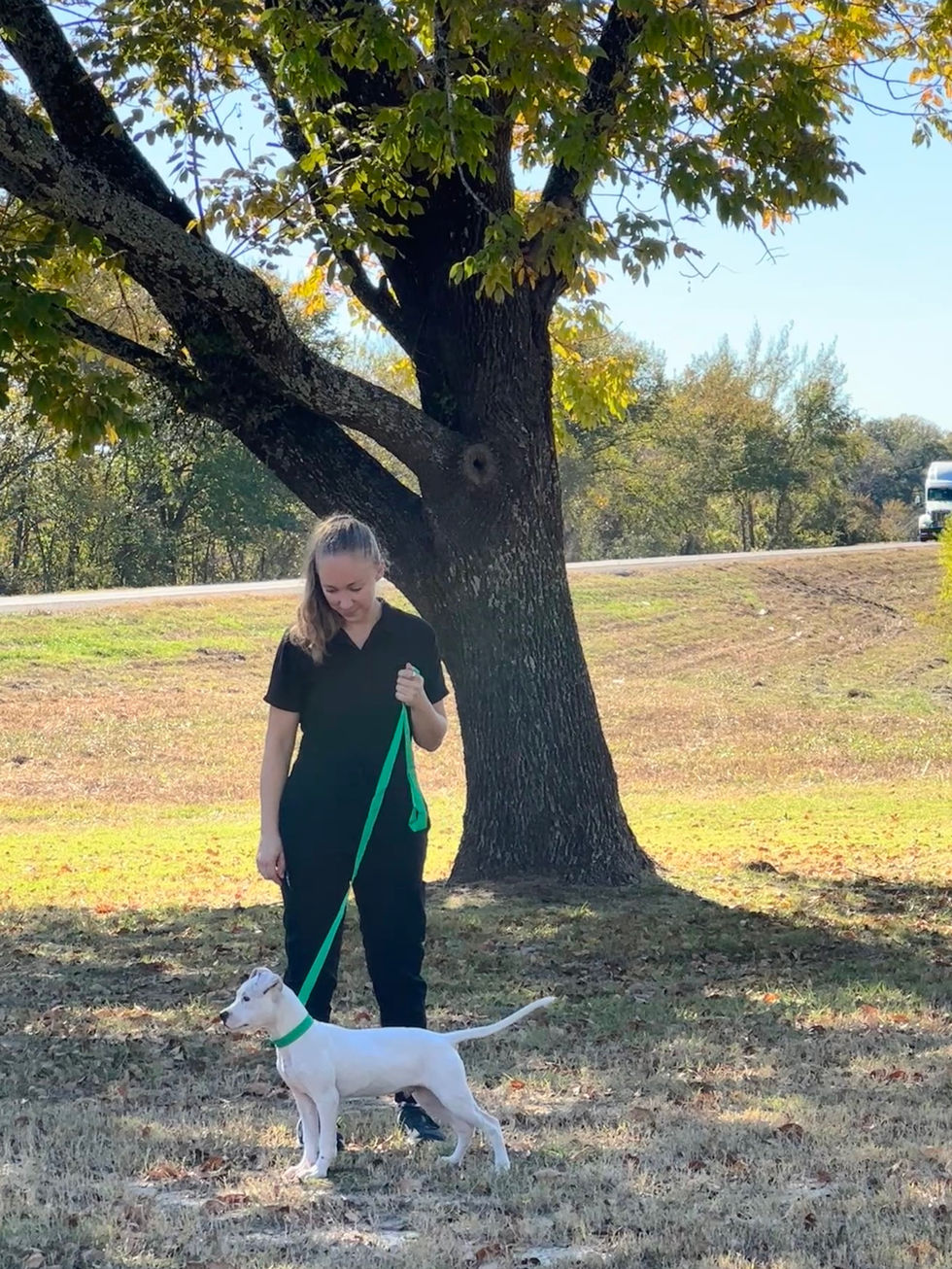 F7C1F688-A15B-4FEE-8C60-632C72DBFEFF