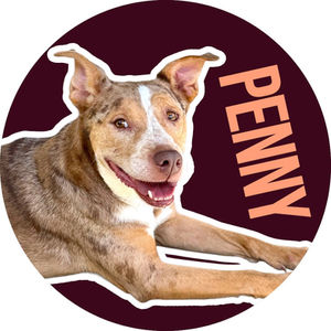Penny