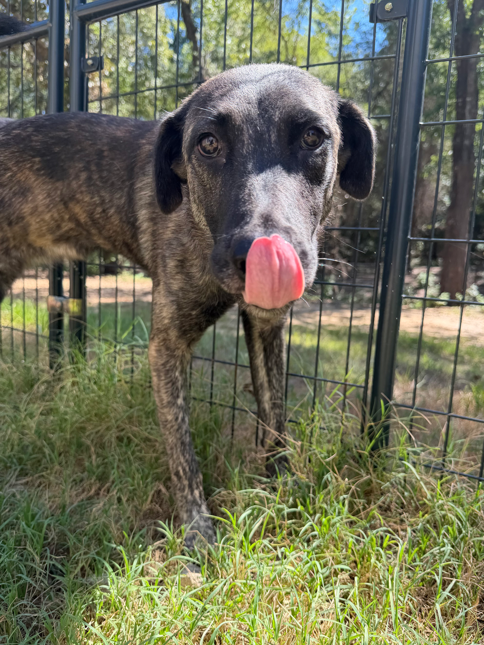 A little tongue