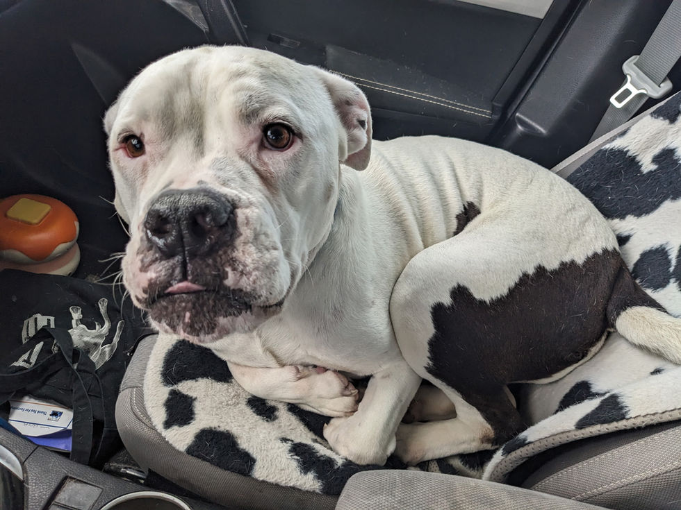 Omar's freedom ride