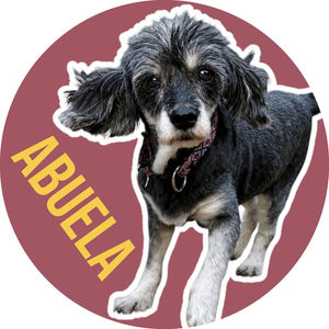 Abuela