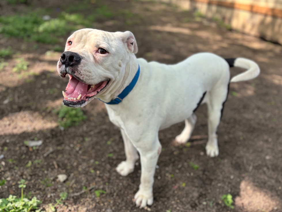 Omar's grin