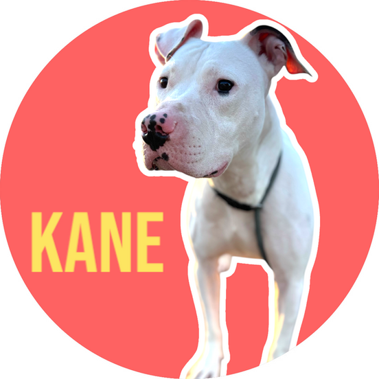 Kane profile