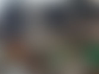 Bringing Home a Rescue Dog: Why Decompression & the Rule of 3s Matter