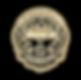 SalvadorSarmiento_golden_logo_25.jpeg