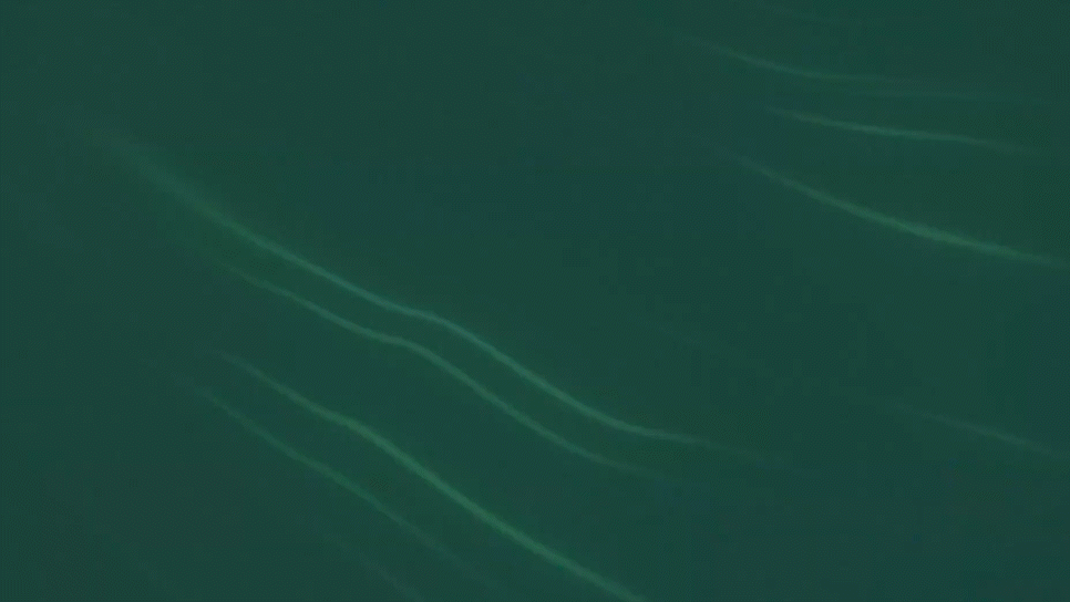 Apexs27_Gif1.gif