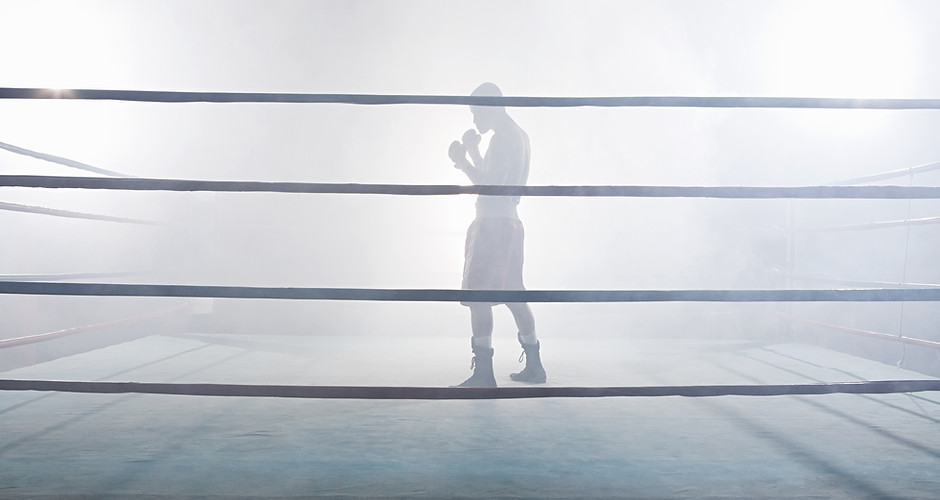 Boxer in Spotlight