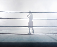 Im Boxring