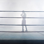 In the Boxing Ring