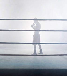 Boxer im Rampenlicht