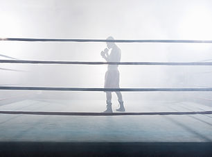 Boxer in Spotlight
