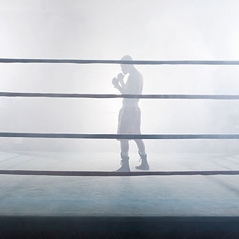 Boxer im Rampenlicht